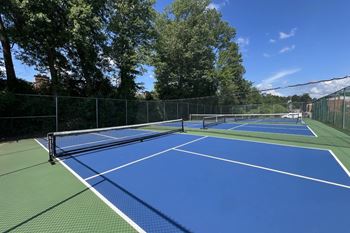 Tennis court